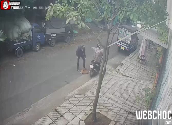 Video :A driver encounters dog thieves